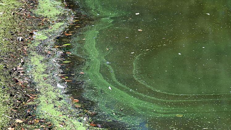Gesundheitsamt spricht Badewarnung f&uuml;r See im Landkreis Hof aus - das musst du wissen