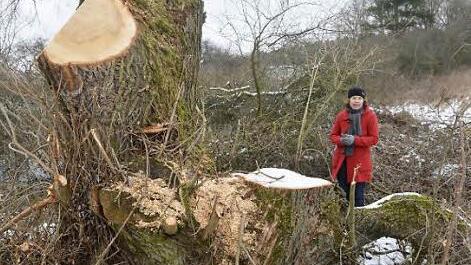 Hier stand einst eine landschaftsprägende Weide.