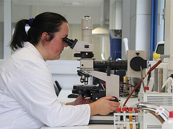 Laborantin Bettina Romeis ist unerwünschten Keimen per Mikroskop auf der Spur. Fotos: Gerd Schaar
