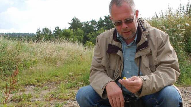 Frank Reißenweber untersucht, ob es sich um echte oder Hundskamille handelt.