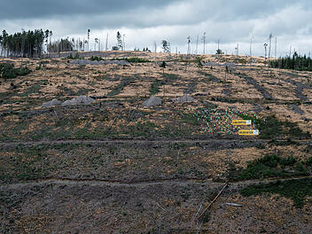 Ludwigsstadt im Frankenwald: Klimasch&uuml;tzer-Aktion gegen Waldsterben und Klimakrise