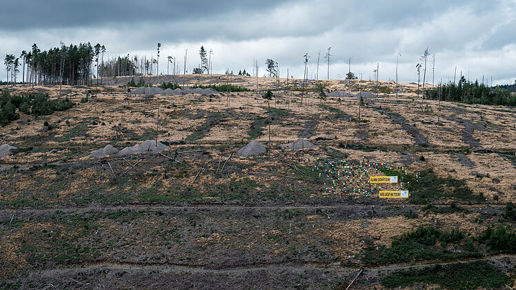 Ludwigsstadt im Frankenwald: Klimasch&uuml;tzer-Aktion gegen Waldsterben und Klimakrise