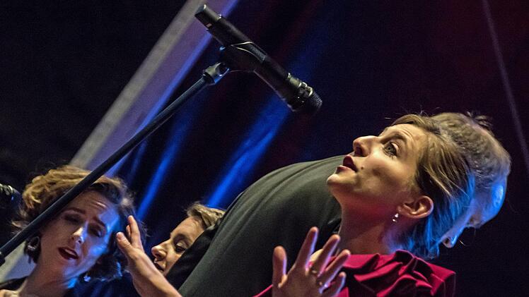 Tausende von Zuhörern bejubelten das Philharmonische Orchester des Landestheaters Coburg unter Leitung von Roland Kluttig  beim Klassik-Open-Air im Rosengarten.Foto: Jochen Berger