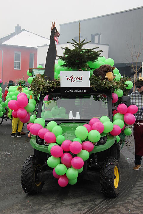Faschingsumzug in Oberhaid