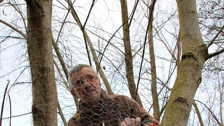 Bilder von der Teichanlage des ASV Hammelburg oberhalb von Obereschenbach. Foto: Ralf Ruppert