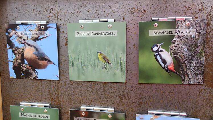 Die Vogelwelt ist bunt und vielfältig. Hier kann man mehr über sie erfahren.Monika Schütz