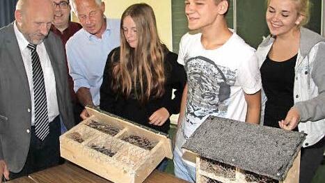 Schulamtsdirektor Mario Schmidt, Schreiner Jürgen Bodenschlägel und der Leiter der Mittelschule Untersteinach-Stadtsteinach, Michael Pfitzner (von links), beraten mit den Schülern, ob das Schreinerprojekt künftig fest im Unterricht verankert werden soll.