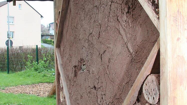 Auch Insekten haben ind er Kinderstadt ein Zuhause.