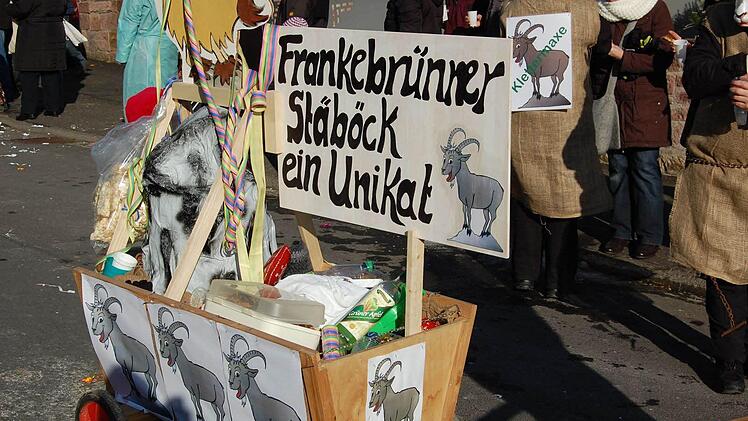 Faschingszug in Thulba  Foto: Günther Straub