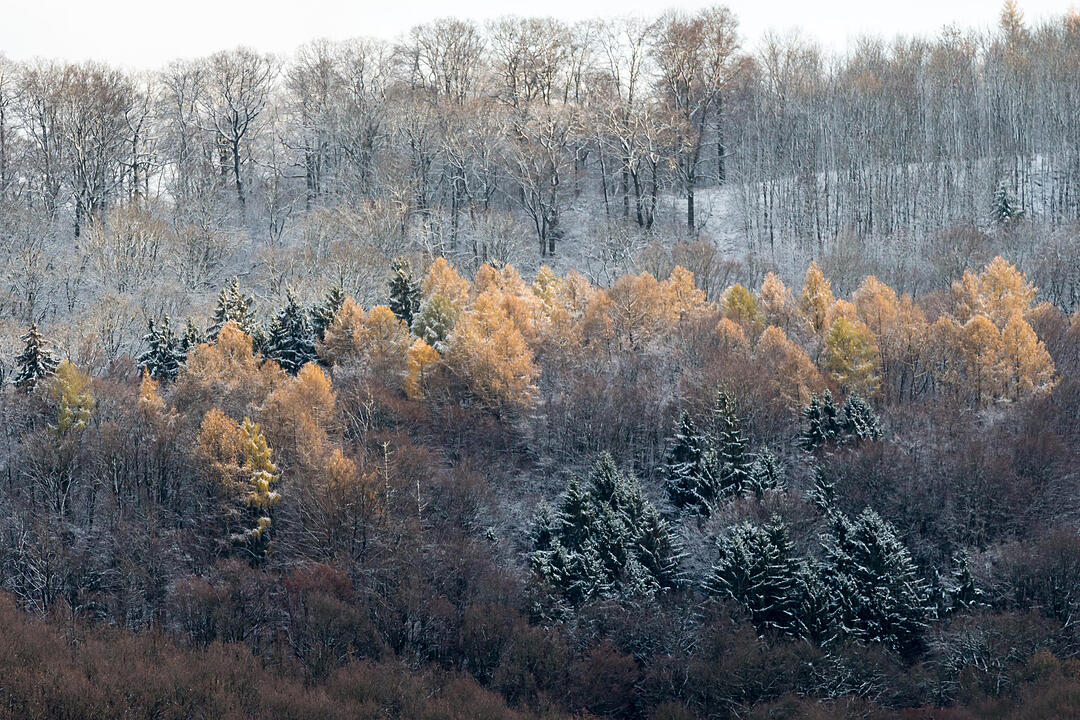 Fotos Konrad Thomann