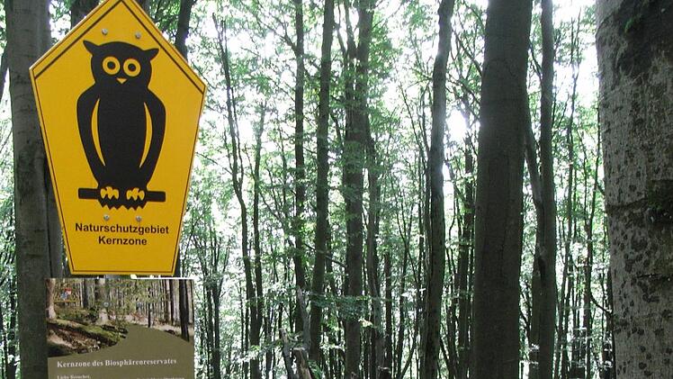 Das Naturwaldreservat am Südhang der Platzer Kuppe.Joachim Rübel