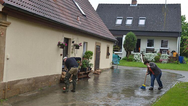 Wiesengiech. Foto: Ronald Rinklef