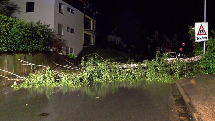 Fotos aus der Gewitternacht. HIer der Judenberg. Foto: News5/Grundmann