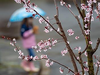 F&auml;llt der Vatertag ins Wasser? Regen f&uuml;r Franken gemeldet