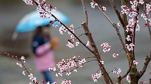 Wetter in Nordrhein-Westfalen