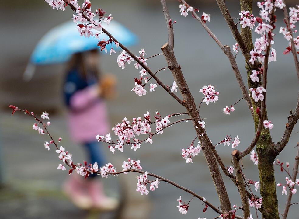 Wetter in Nordrhein-Westfalen