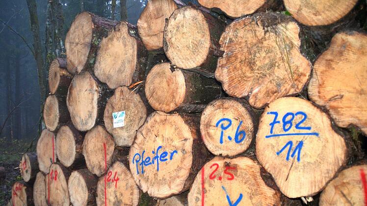 Der Freistaat und die Kommunen nutzen ihr geerntetes Holz überwiegend zur wertangepassten Vermarktung. Privatleute nutzen ihres meist als Brennholz oder verkaufen es über die Forstbetriebsgemeinschaften. Foto: K. Kupka-Hahn