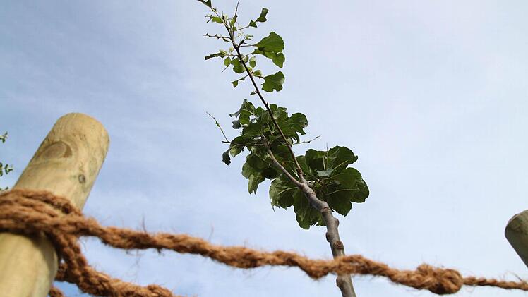 Foto: Tobias Griebel