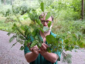 Nur einen Hektar hat Bernd Lauterbach abgesucht, um zehn verschiedene Baumarten im Wald bei Oberfüllbach zu finden. Foto: Berthold Köhler