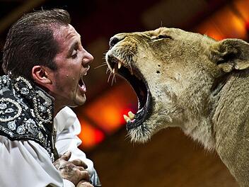 Junior-Chef Martin Lacey ist Tierlehrer und präsentiert die Krone-Raubtiere. Foto: Circus Krone