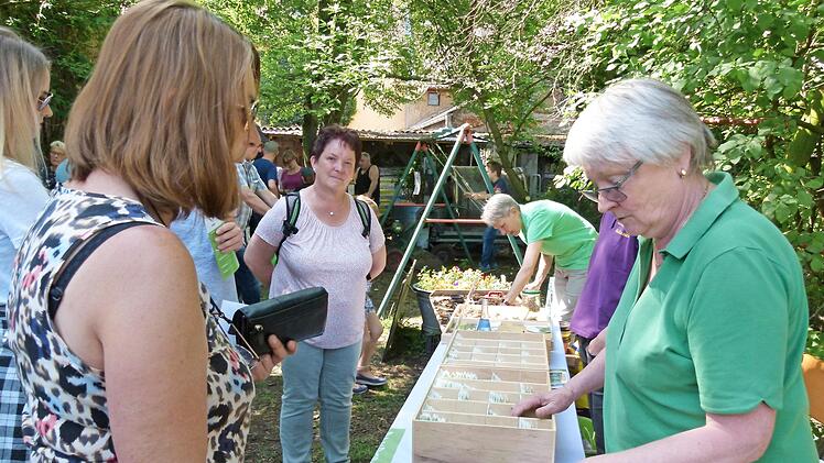 Ulrike Aas, Vorsitzende des Vereins Bamberger Sortengarten, erklärt Interessierten die verschiedenen lokalen Gemüsesamen.