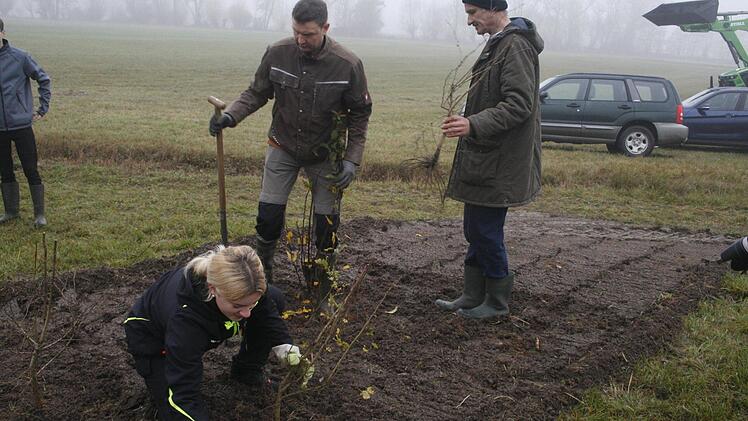 Unter fachkundiger Anleitung pflanzte die 16-jährige Sofia Jähnel Sträucher  an. Zusammen mit ihren Mitschülern legte sie eine Hecke an. Foto: Martin Rebhan