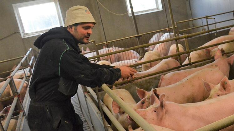 Christian Diller glaubt, dass die Afrikanische Schweinepest im Falle eines Ausbruchs die ganze Schweinebranche in eine Krise st&uuml;rzen w&uuml;rde. Foto: Sandra Hackenberg