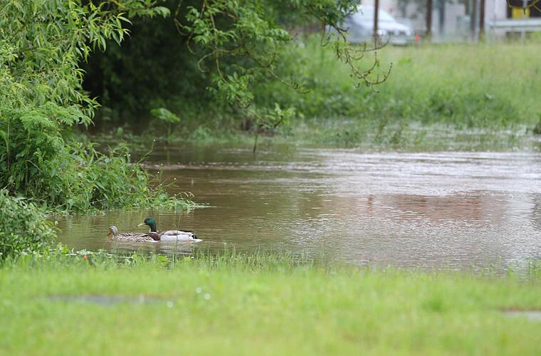 Trockenheit in Oberfranken: Nächster Landkreis verbietet Wasserentnahme