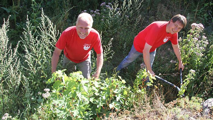 Reinald Kolb und Bürgermeister Roland Wolfrum schneiden gemeinsam Dornengestrüpp und Brennnesseln weg