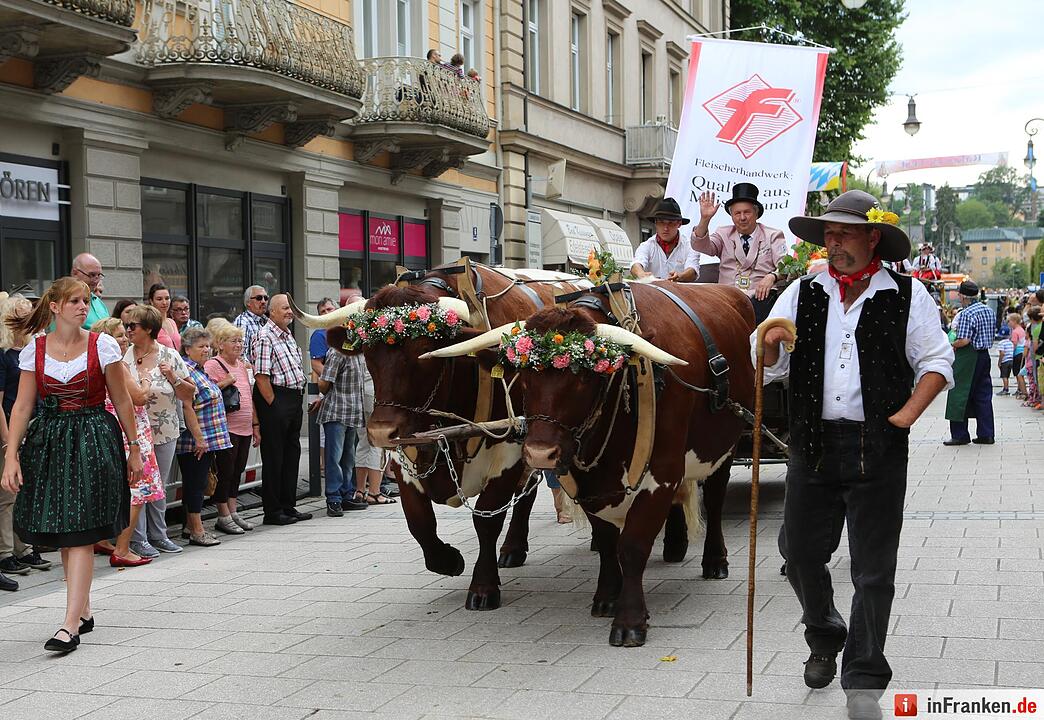 Der Rakoczy-Fest-Sonntag 2016 in Bildern