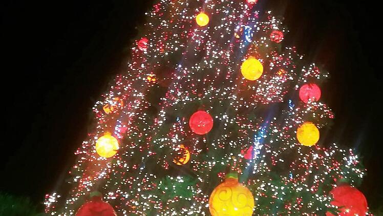 Dieser Weihnachtsbaum stand in einem Park in Marataízes.