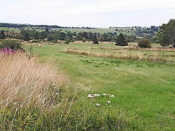 Die bewirtschafteten Flächen der Hochrhön kommen für einen möglichen Nationalpark nicht in Frage. In einem Nationalpark soll sich die Natur von menschlichen Eingriffen ungestört entwickeln, so wie es in den Kernzonen geschieht.  Foto: Marion Eckert
