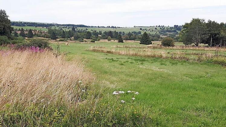 Die bewirtschafteten Flächen der Hochrhön kommen für einen möglichen Nationalpark nicht in Frage. In einem Nationalpark soll sich die Natur von menschlichen Eingriffen ungestört entwickeln, so wie es in den Kernzonen geschieht.  Foto: Marion Eckert