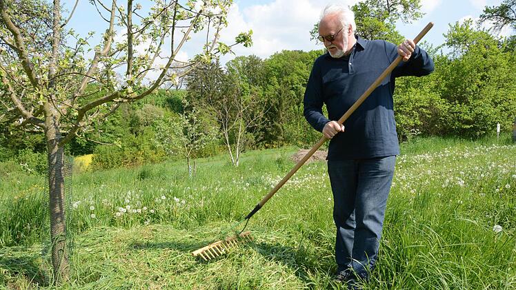 Der Grasschnitt wird zum Mulchen verwendet, zum Beispiel für die Baumscheiben der Obstbäume. Der Stamm selbst muss dabei frei bleiben. Foto: Dagmar Besand