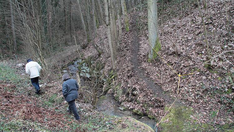 Hinter dem Haus wird in den nächsten Tagen ein Steg errichtet, der über den Dörflesbach führt. Foto: Jürgen Gärtner