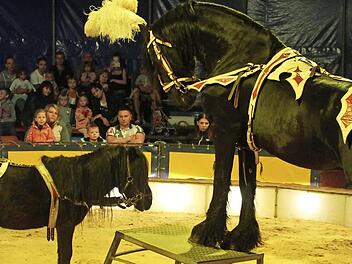 Pferdedressuren sind die Hauptattraktion des Zirkus Soleo. Fotos: Markus Häggberg
