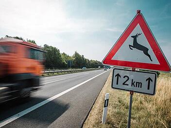 Über zwei Kilometer gilt die Geschwindigkeitsbegrenzung, weil Wildwechsel drohen könnte.  Foto: Hendrik Steffens