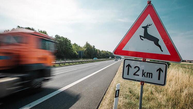 Über zwei Kilometer gilt die Geschwindigkeitsbegrenzung, weil Wildwechsel drohen könnte.  Foto: Hendrik Steffens