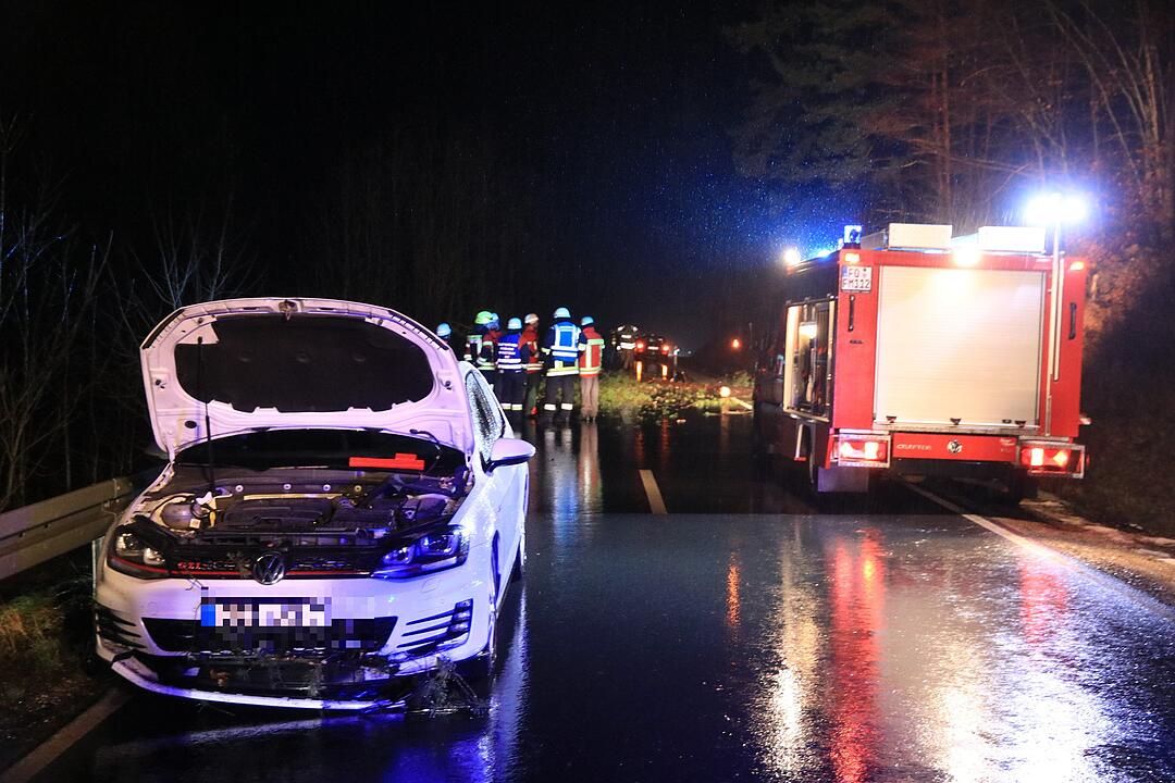 Vorsätzlich angesägt: 18 Meter Stamm liegt plötzlich auf der Straße