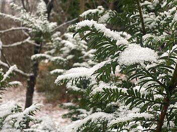Schneegestöber und erste Schlittenfahrten: Winterliches Wetter in Mittelfranken Schneegestöber und erste Schlittenfahrten: Winterliches Wetter in Mittelfranken