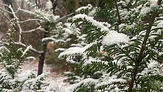 Schneegestöber und erste Schlittenfahrten: Winterliches Wetter in Mittelfranken