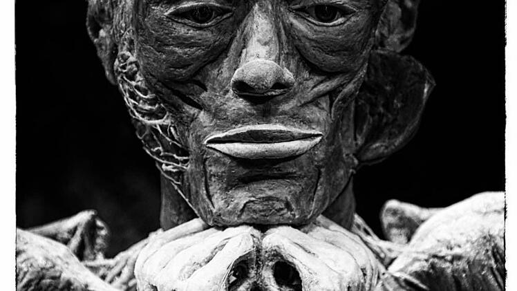 Die Ausstellung "Körperwelten - eine Herzenssache" wird noch bis zum 11. Februar im Quelle-Areal in Nürnberg gezeigt. Foto: Matthias Hoch