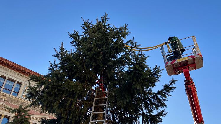 Weihnachtsbaum vor dem Abgeordnetenhaus aufgestellt