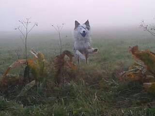 Foto: Birgit Hei
