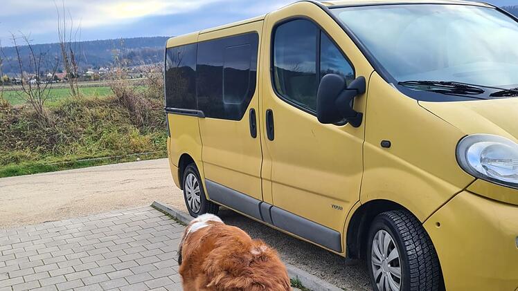 Knetzgau: Unbekannter klaut frisch reparierten Tierheim-Bus und baut mehrere Unfälle