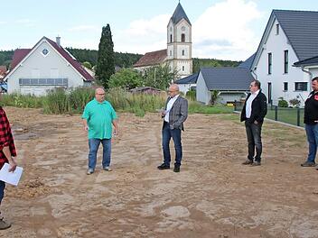 Klaus Schebler (3.v.l.) erläutert, was auf dem städtischen Grundstück passiert ist und warum. Bürgermeister Michael Kastl (Mitte) hatte die Ortseinsicht kurzfristig anberaumt.