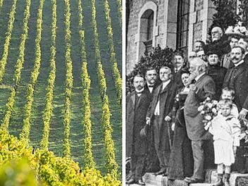 Kitzingen: Weingut am Wilhelmsberg droht nach fast 180 Jahren das Aus