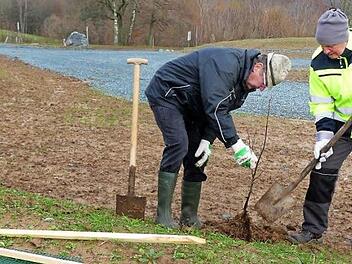 Vorsitzender Siegfried Küspert (links) und Werner Eberhardt beim Pflanzen der ersten Linde als Begrenzung des neu geschaffenen Parkplatzes der Naturbühne Foto: Dieter Hübner