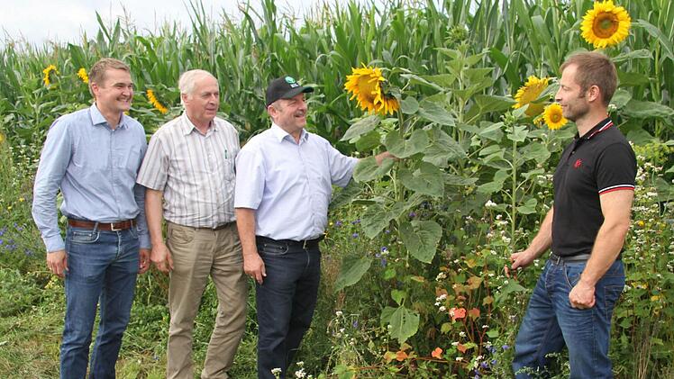 Landwirtschaft und Umweltschutz vertragen sich: Christian Schneider von Syngenta, Harald Hühnlein, Bauernverband-Obmann Wilfried Löwinger und Landwirt Alexander Wölfel machen sich für Blüh-Streifen entlang der Felder stark.