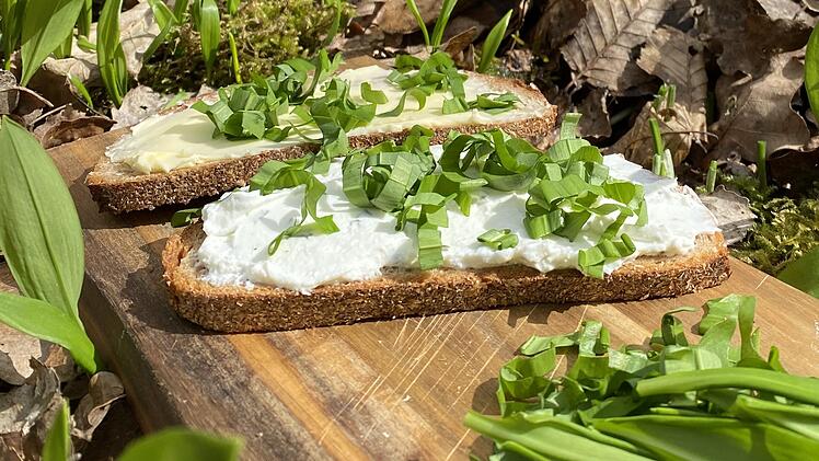 Aus Bärlauch lässt sich zum Beispiel ein leckerer Brotaufstrich herstellen. Foto: Tamara Neder
